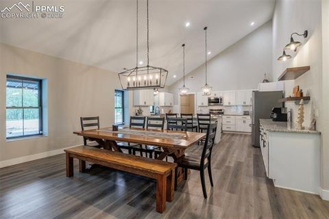 Tiny photo for 412 Obsidian Drive, Florissant, CO 80816 (MLS # 8975683)