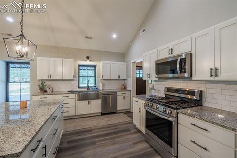 Tiny photo for 412 Obsidian Drive, Florissant, CO 80816 (MLS # 8975683)