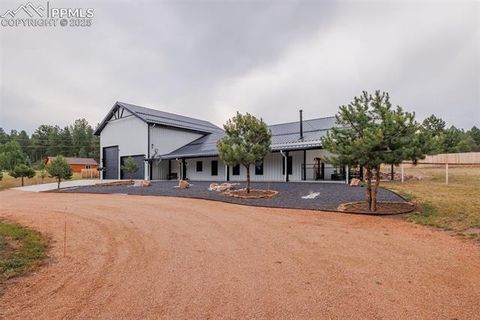 Tiny photo for 412 Obsidian Drive, Florissant, CO 80816 (MLS # 8975683)