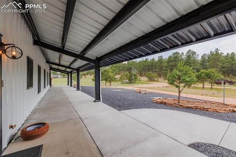 Tiny photo for 412 Obsidian Drive, Florissant, CO 80816 (MLS # 8975683)