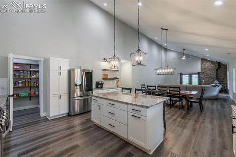 Tiny photo for 412 Obsidian Drive, Florissant, CO 80816 (MLS # 8975683)