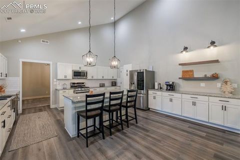 Tiny photo for 412 Obsidian Drive, Florissant, CO 80816 (MLS # 8975683)