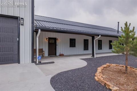 Tiny photo for 412 Obsidian Drive, Florissant, CO 80816 (MLS # 8975683)