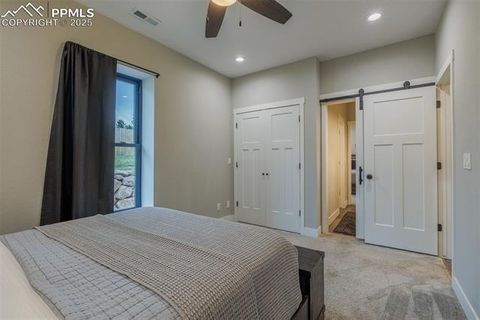 Tiny photo for 412 Obsidian Drive, Florissant, CO 80816 (MLS # 8975683)