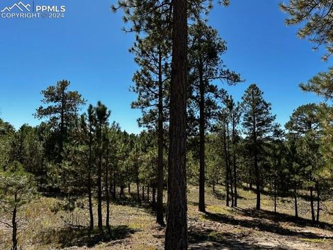14491 Allen Ranch Road Colorado Springs CO 80908