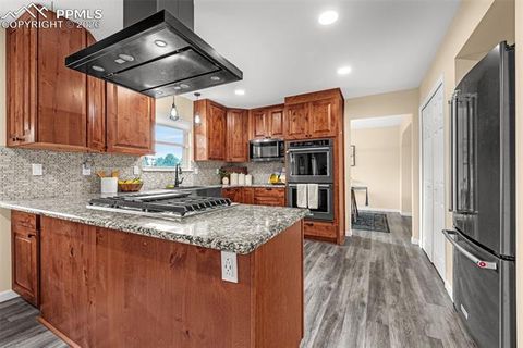 Tiny photo for 8735 Turnbridge Place, Colorado Springs, CO 80920 (MLS # 5021392)