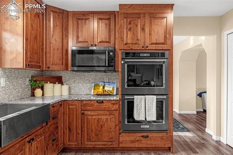Tiny photo for 8735 Turnbridge Place, Colorado Springs, CO 80920 (MLS # 5021392)