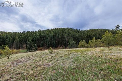 Photo of 521 University Drive, Woodland Park, CO 80863 (MLS # 7016878)