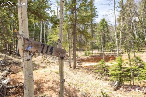 Photo of 714 Will Stutley Drive, Divide, CO 80814 (MLS # 3417276)