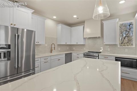 Tiny photo for 19 Noyer Court, Colorado Springs, CO 80906 (MLS # 2891251)