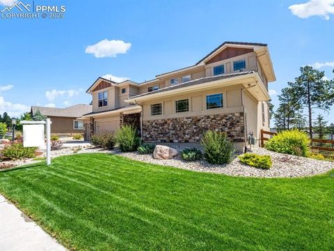 Photo of 16231 Thunder Cat Way, Monument, CO 80132 (MLS # 4878694)