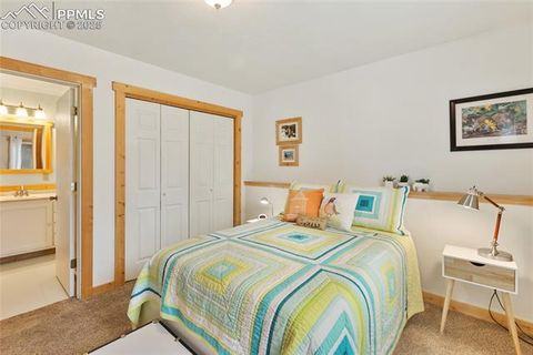 Tiny photo for 135 Daniwood Grove, Florissant, CO 80816 (MLS # 1057619)
