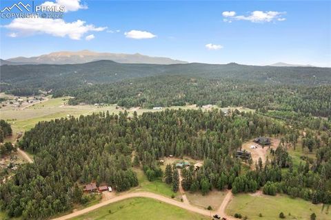 Tiny photo for 135 Daniwood Grove, Florissant, CO 80816 (MLS # 1057619)