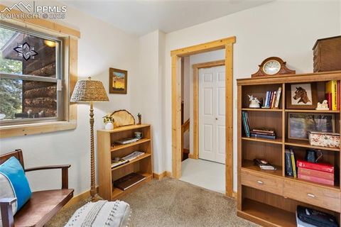 Tiny photo for 135 Daniwood Grove, Florissant, CO 80816 (MLS # 1057619)