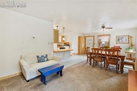 Tiny photo for 135 Daniwood Grove, Florissant, CO 80816 (MLS # 1057619)