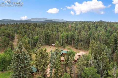 Tiny photo for 135 Daniwood Grove, Florissant, CO 80816 (MLS # 1057619)