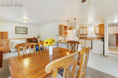 Tiny photo for 135 Daniwood Grove, Florissant, CO 80816 (MLS # 1057619)