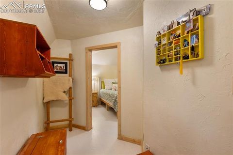 Tiny photo for 135 Daniwood Grove, Florissant, CO 80816 (MLS # 1057619)
