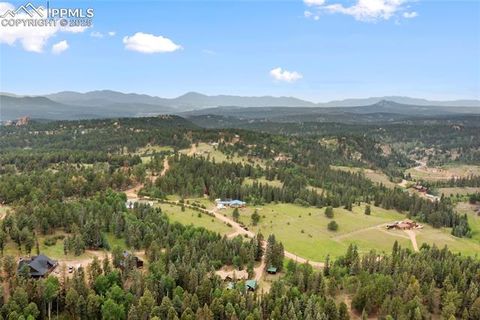 Tiny photo for 135 Daniwood Grove, Florissant, CO 80816 (MLS # 1057619)