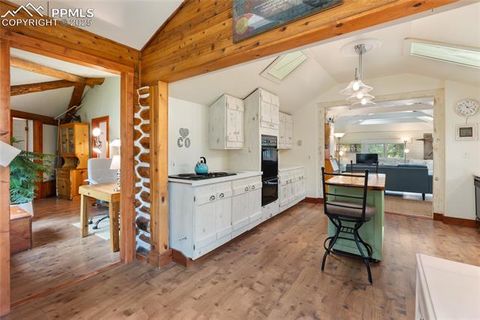 Tiny photo for 135 Daniwood Grove, Florissant, CO 80816 (MLS # 1057619)