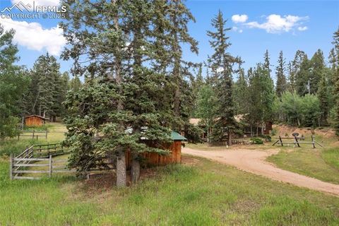 Tiny photo for 135 Daniwood Grove, Florissant, CO 80816 (MLS # 1057619)