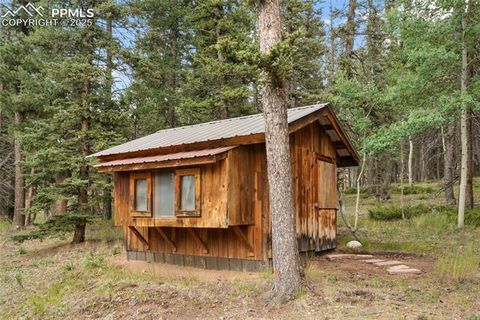 Tiny photo for 135 Daniwood Grove, Florissant, CO 80816 (MLS # 1057619)