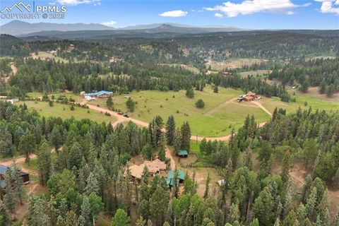 Tiny photo for 135 Daniwood Grove, Florissant, CO 80816 (MLS # 1057619)