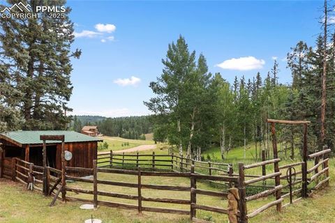 Tiny photo for 135 Daniwood Grove, Florissant, CO 80816 (MLS # 1057619)