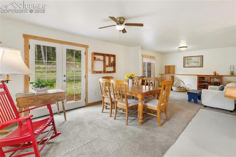 Tiny photo for 135 Daniwood Grove, Florissant, CO 80816 (MLS # 1057619)