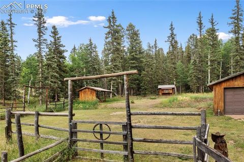 Tiny photo for 135 Daniwood Grove, Florissant, CO 80816 (MLS # 1057619)