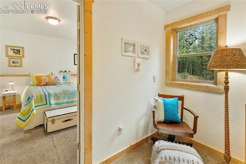 Tiny photo for 135 Daniwood Grove, Florissant, CO 80816 (MLS # 1057619)