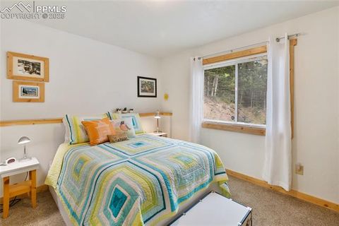 Tiny photo for 135 Daniwood Grove, Florissant, CO 80816 (MLS # 1057619)