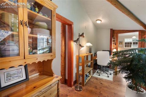 Tiny photo for 135 Daniwood Grove, Florissant, CO 80816 (MLS # 1057619)