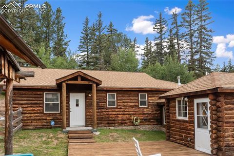 Tiny photo for 135 Daniwood Grove, Florissant, CO 80816 (MLS # 1057619)