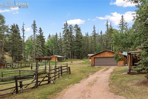 Tiny photo for 135 Daniwood Grove, Florissant, CO 80816 (MLS # 1057619)