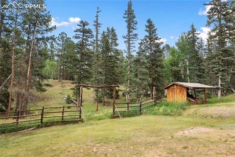 Tiny photo for 135 Daniwood Grove, Florissant, CO 80816 (MLS # 1057619)