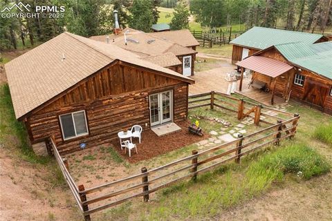 Tiny photo for 135 Daniwood Grove, Florissant, CO 80816 (MLS # 1057619)