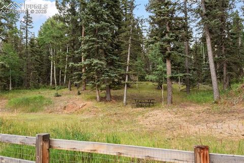 Tiny photo for 135 Daniwood Grove, Florissant, CO 80816 (MLS # 1057619)