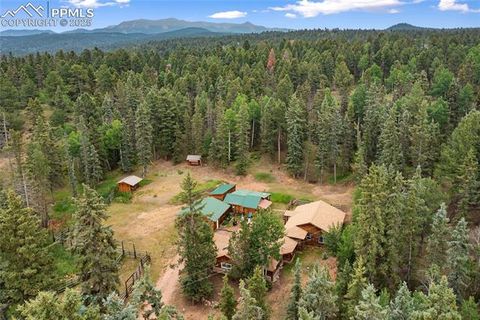 Tiny photo for 135 Daniwood Grove, Florissant, CO 80816 (MLS # 1057619)