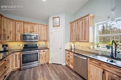 Tiny photo for 1101 Ptarmigan Drive, Woodland Park, CO 80863 (MLS # 9618402)