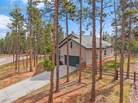 Tiny photo for 1101 Ptarmigan Drive, Woodland Park, CO 80863 (MLS # 9618402)