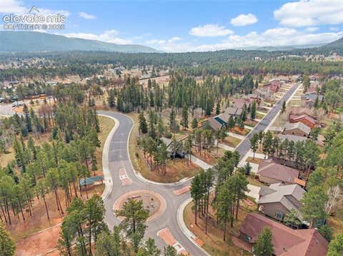 Tiny photo for 1101 Ptarmigan Drive, Woodland Park, CO 80863 (MLS # 9618402)
