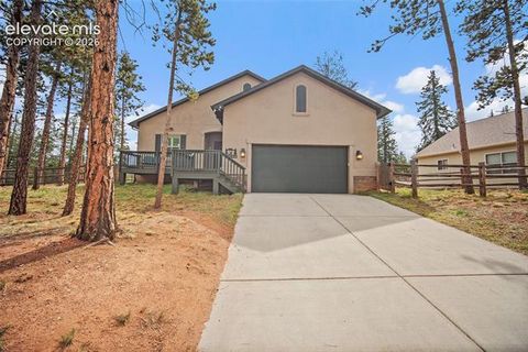 Tiny photo for 1101 Ptarmigan Drive, Woodland Park, CO 80863 (MLS # 9618402)