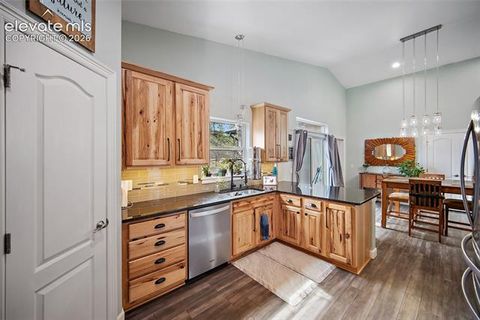 Tiny photo for 1101 Ptarmigan Drive, Woodland Park, CO 80863 (MLS # 9618402)