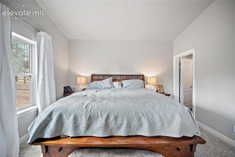 Tiny photo for 1101 Ptarmigan Drive, Woodland Park, CO 80863 (MLS # 9618402)