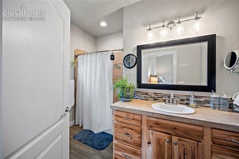 Tiny photo for 1101 Ptarmigan Drive, Woodland Park, CO 80863 (MLS # 9618402)
