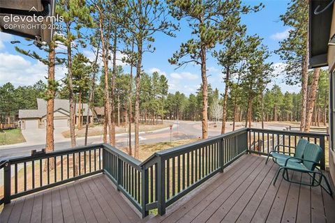 Tiny photo for 1101 Ptarmigan Drive, Woodland Park, CO 80863 (MLS # 9618402)