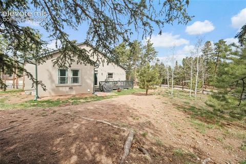 Tiny photo for 1101 Ptarmigan Drive, Woodland Park, CO 80863 (MLS # 9618402)