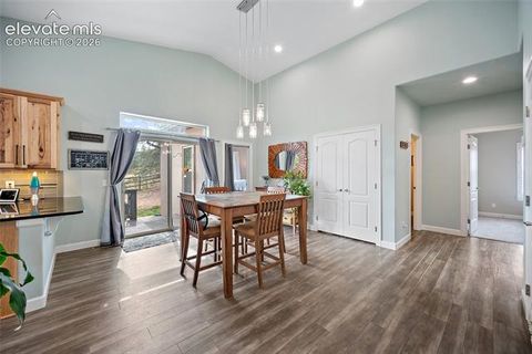 Tiny photo for 1101 Ptarmigan Drive, Woodland Park, CO 80863 (MLS # 9618402)