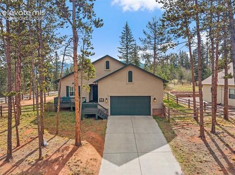 Photo of 1101 Ptarmigan Drive, Woodland Park, CO 80863 (MLS # 9618402)